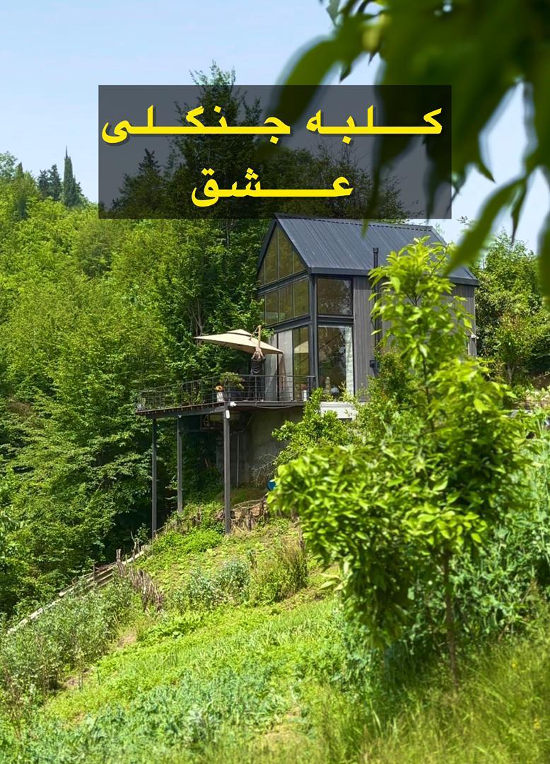 کلبه جنگلی عشق