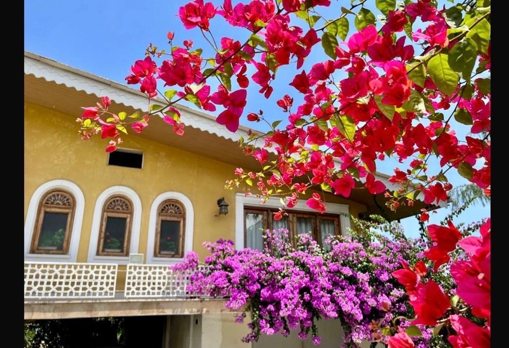 ایوان رنگی ایوان رنگی
