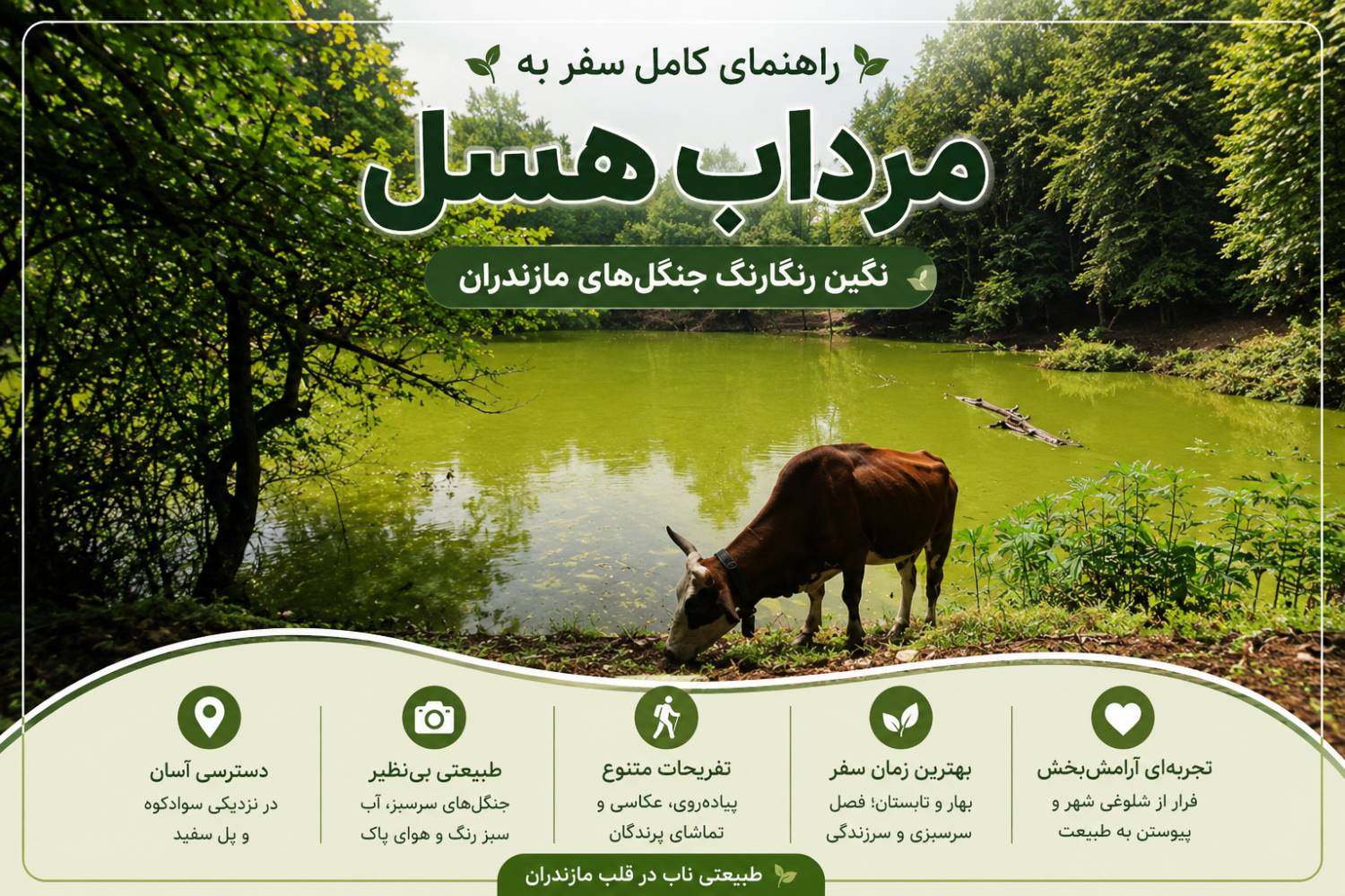 راهنمای کامل سفر به مرداب هسل؛ نگین رنگارنگ جنگل‌های مازندران
