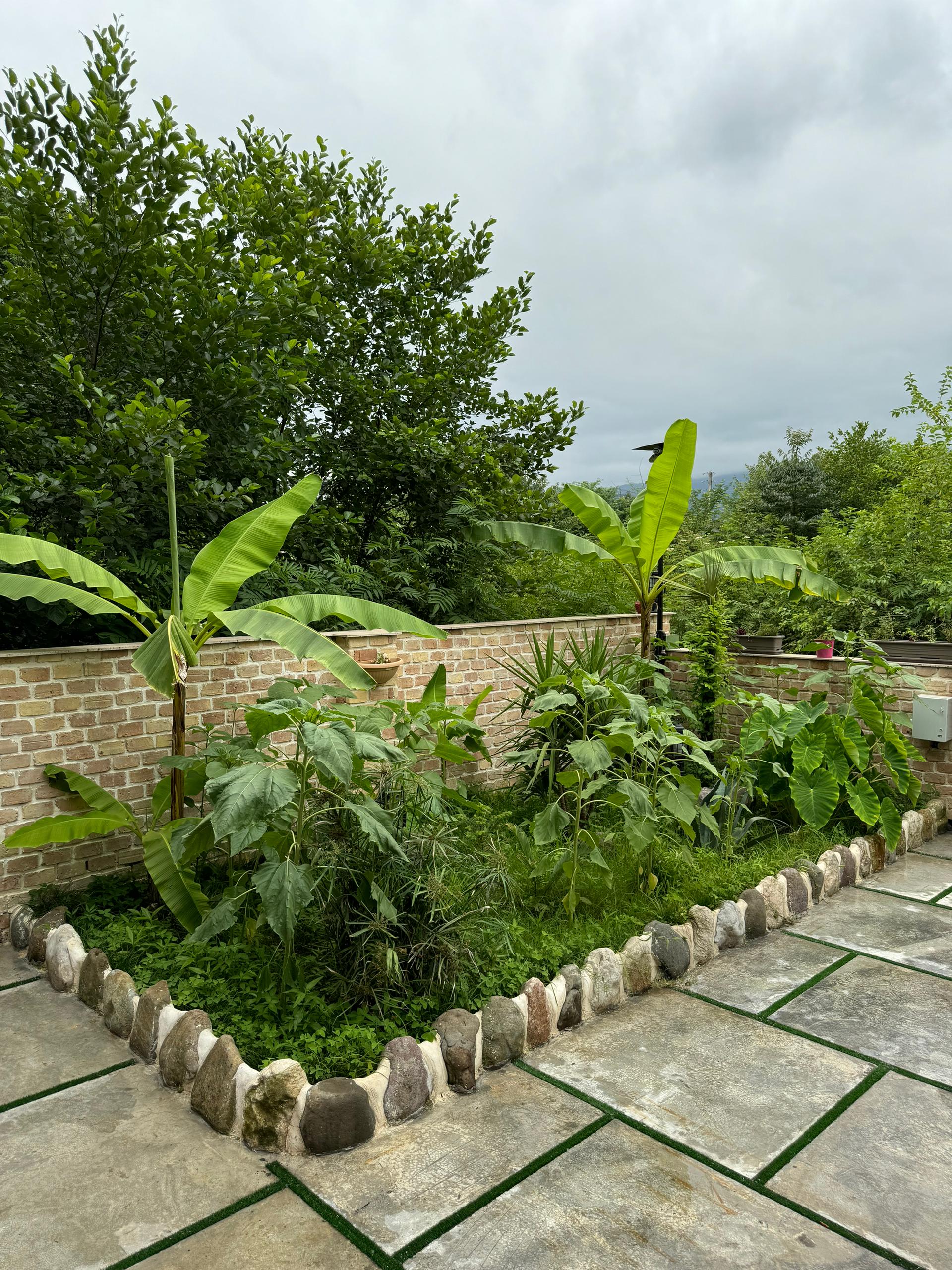 کلبه آرام