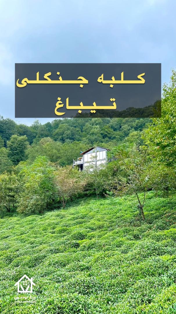 کلبه جنگلی تی باغ کلبه جنگلی تی باغ